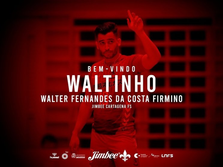 Waltinho